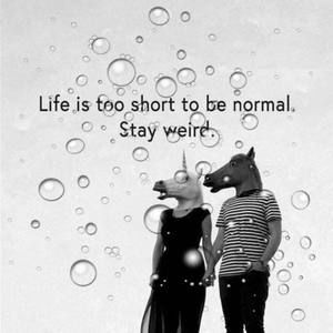 Meet your Posher, Sophie